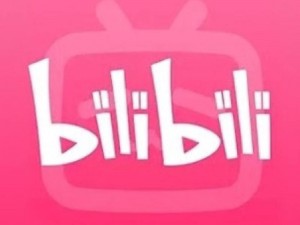 bilibili哔哩哔哩免费观看网站;bilibili 哔哩哔哩破解版免费观看网站