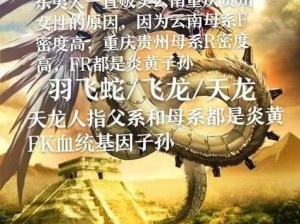 天龙人含义解析：揭示天龙人暗指哪些人及其背后的深层含义探索