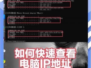 关于寻找你姐电脑版下载地址及安装步骤的详细指南