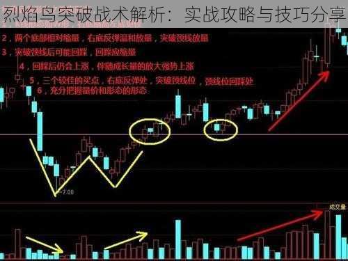 烈焰鸟突破战术解析:实战攻略与技巧分享