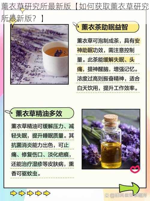 薰衣草研究所最新版【如何获取薰衣草研究所最新版？】