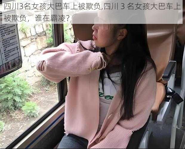 四川3名女孩大巴车上被欺负,四川 3 名女孩大巴车上被欺负，谁在霸凌？