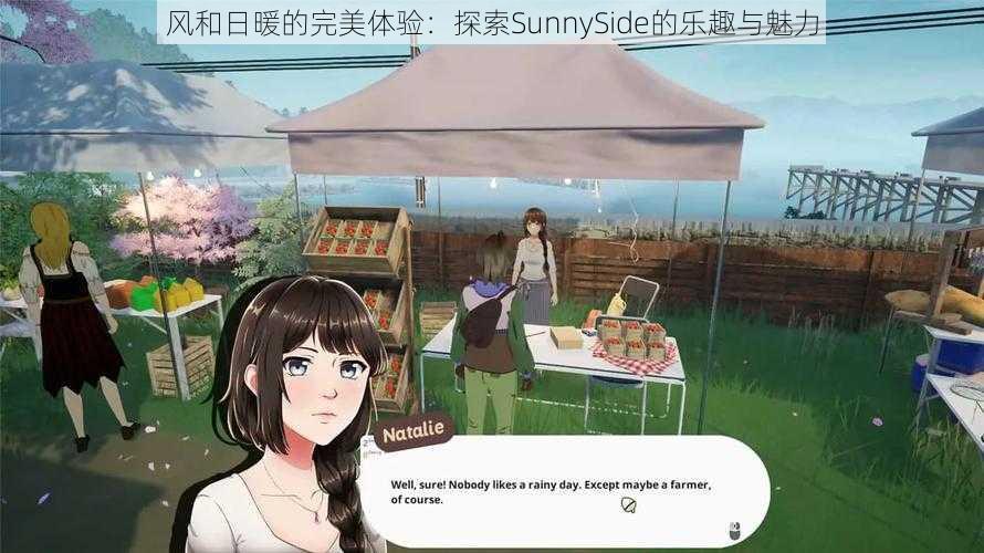 风和日暖的完美体验：探索SunnySide的乐趣与魅力