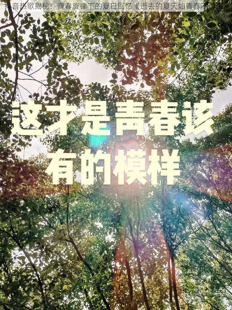 抖音热歌揭秘：青春旋律下的夏日回忆《逝去的夏天如青春不再来》