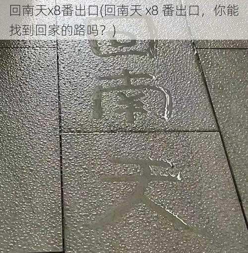 回南天x8番出口(回南天 x8 番出口，你能找到回家的路吗？)