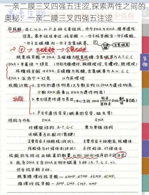 一亲二膜三叉四强五注涩,探索两性之间的奥秘：一亲二膜三叉四强五注涩