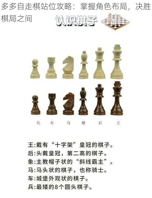 多多自走棋站位攻略：掌握角色布局，决胜棋局之间