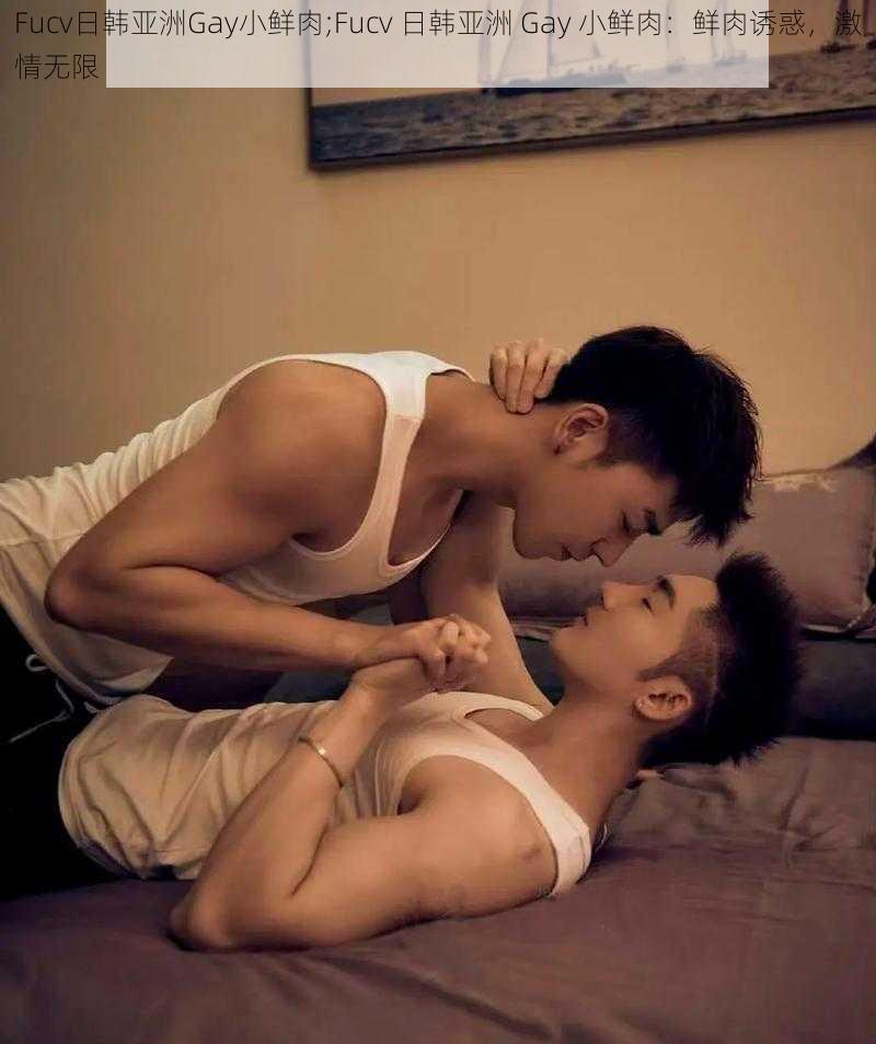 Fucv日韩亚洲Gay小鲜肉;Fucv 日韩亚洲 Gay 小鲜肉：鲜肉诱惑，激情无限