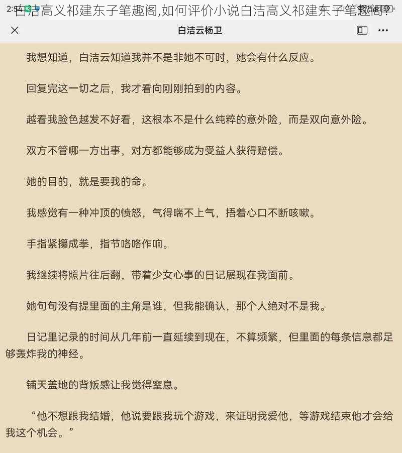 白洁高义祁建东子笔趣阁,如何评价小说白洁高义祁建东子笔趣阁？