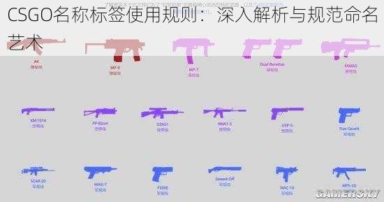 CSGO名称标签使用规则：深入解析与规范命名艺术