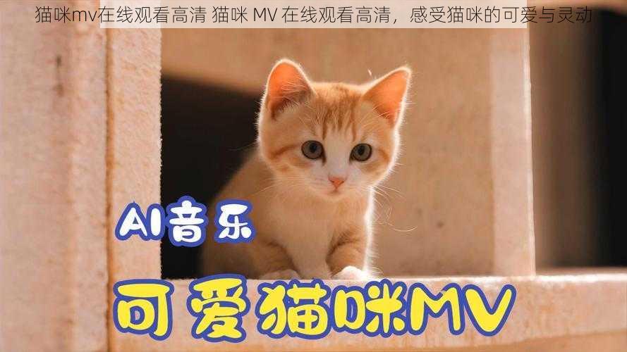 猫咪mv在线观看高清 猫咪 MV 在线观看高清，感受猫咪的可爱与灵动