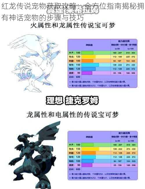 红龙传说宠物获取攻略：全方位指南揭秘拥有神话宠物的步骤与技巧