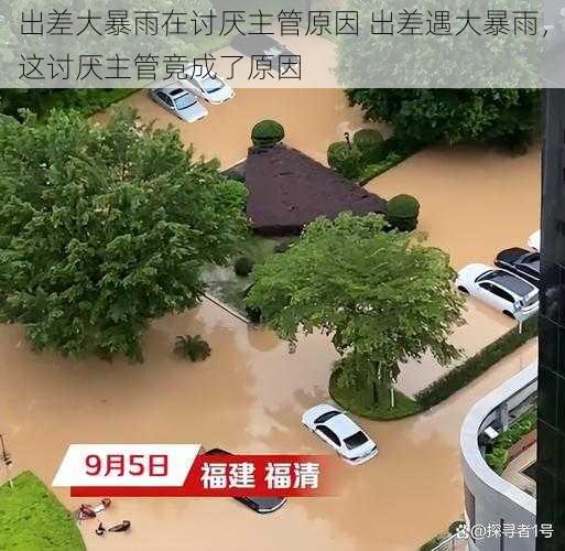 出差大暴雨在讨厌主管原因 出差遇大暴雨，这讨厌主管竟成了原因