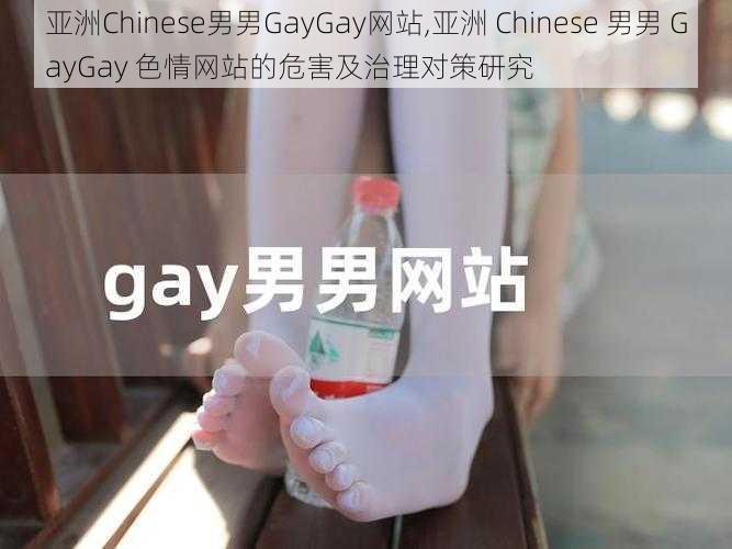 亚洲Chinese男男GayGay网站,亚洲 Chinese 男男 GayGay 色情网站的危害及治理对策研究