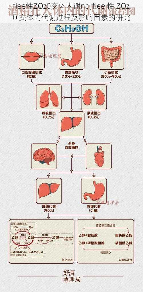 fiee性ZOz0交体内谢nd;fiee 性 ZOz0 交体内代谢过程及影响因素的研究