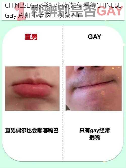 CHINESEGay彩虹小蓝(如何看待CHINESEGay 彩虹小蓝这一现象？)