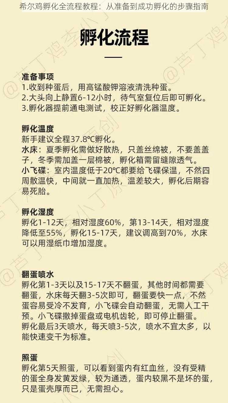 希尔鸡孵化全流程教程：从准备到成功孵化的步骤指南