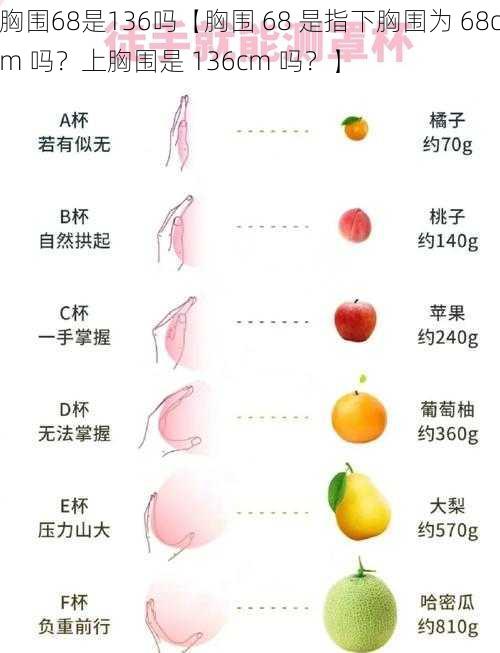 胸围68是136吗【胸围 68 是指下胸围为 68cm 吗？上胸围是 136cm 吗？】