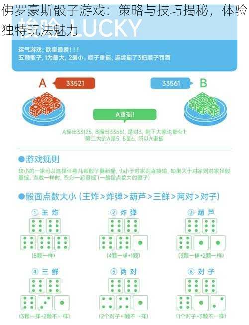 佛罗豪斯骰子游戏：策略与技巧揭秘，体验独特玩法魅力