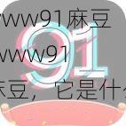 www91麻豆,www91 麻豆，它是什么？