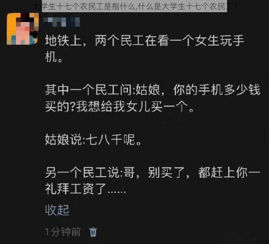 大学生十七个农民工是指什么,什么是大学生十七个农民工？