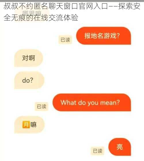 叔叔不约匿名聊天窗口官网入口——探索安全无痕的在线交流体验