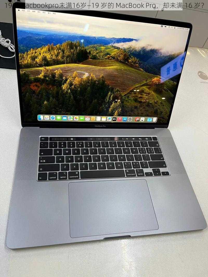 19岁macbookpro未满16岁—19 岁的 MacBook Pro，却未满 16 岁？