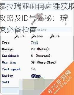 泰拉瑞亚血肉之锤获取攻略及ID号揭秘：玩家必备指南