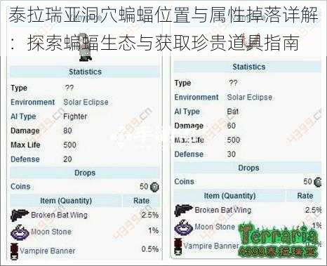 泰拉瑞亚洞穴蝙蝠位置与属性掉落详解：探索蝙蝠生态与获取珍贵道具指南
