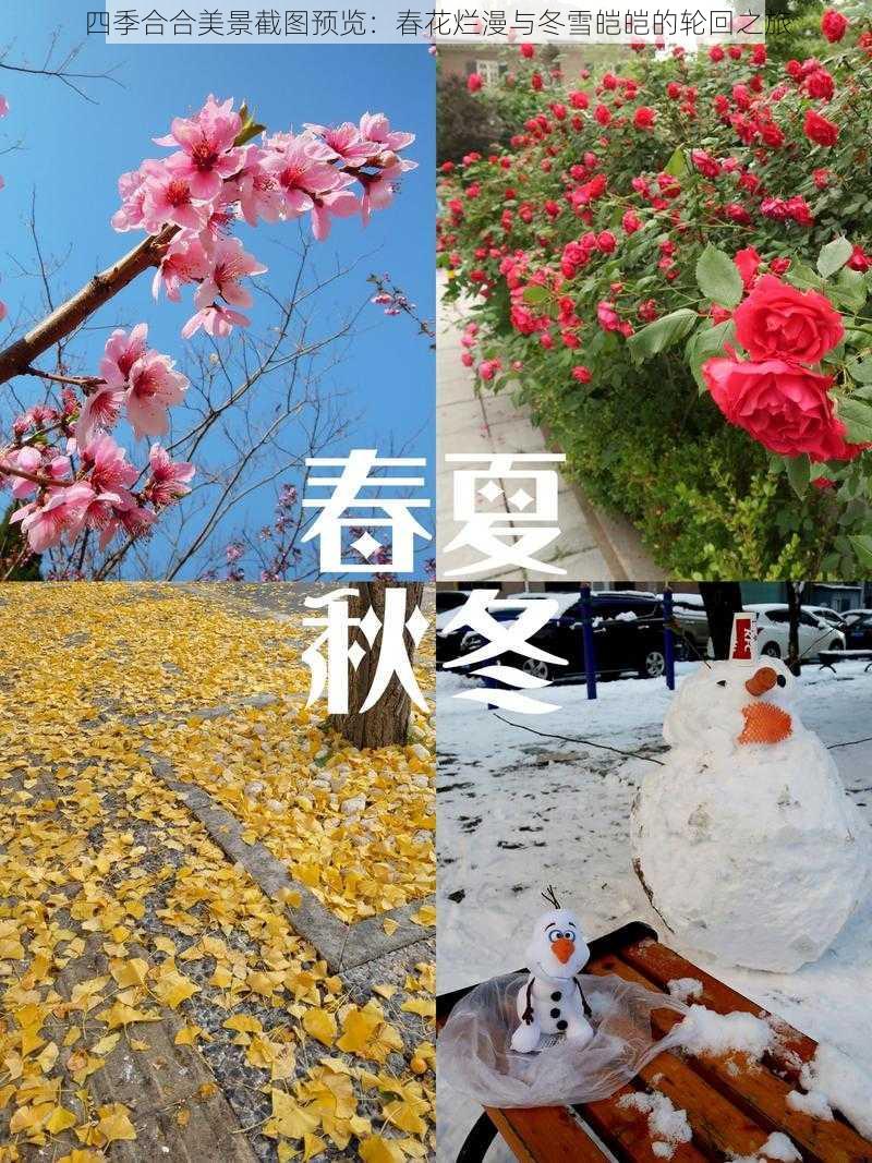 四季合合美景截图预览：春花烂漫与冬雪皑皑的轮回之旅