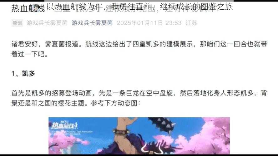 以热血航线为伴，我勇往直前，继续成长的图鉴之旅