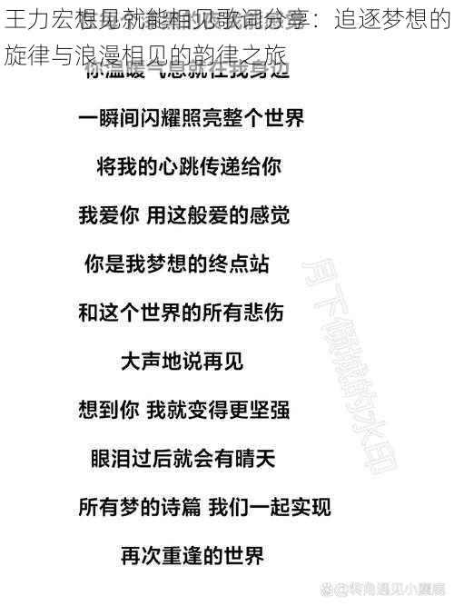 王力宏想见就能相见歌词分享：追逐梦想的旋律与浪漫相见的韵律之旅