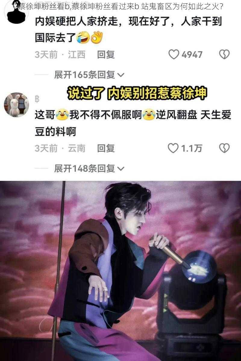 蔡徐坤粉丝看b,蔡徐坤粉丝看过来b 站鬼畜区为何如此之火？