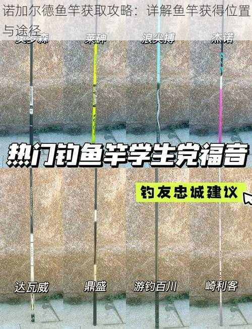 诺加尔德鱼竿获取攻略：详解鱼竿获得位置与途径