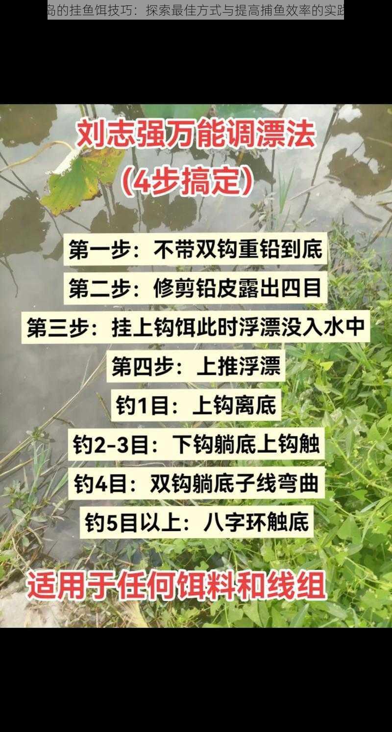 珊瑚岛的挂鱼饵技巧：探索最佳方式与提高捕鱼效率的实践指南