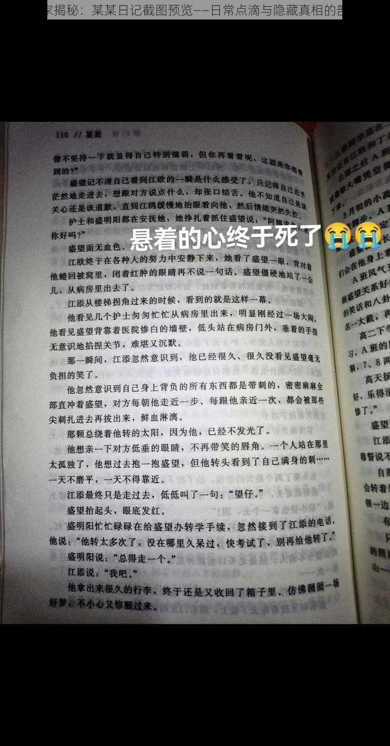 独家揭秘：某某日记截图预览——日常点滴与隐藏真相的剖析