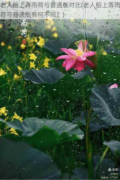 老人船上弄雨荷与普通版对比(老人船上弄雨荷与普通版有何不同？)