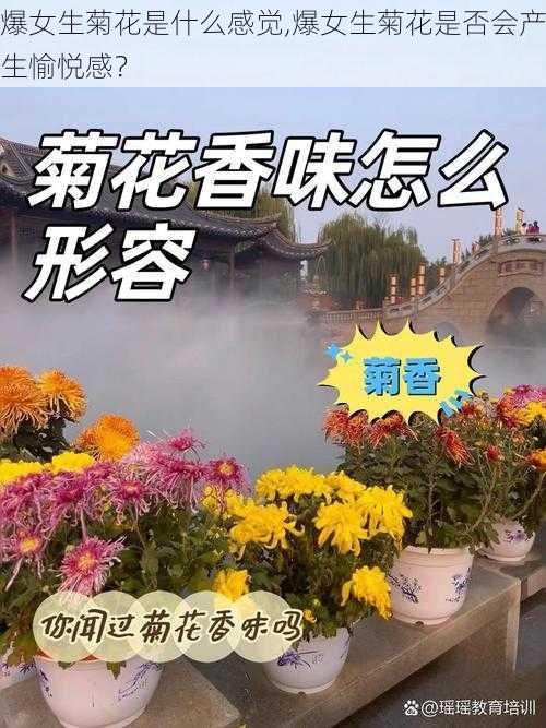 爆女生菊花是什么感觉,爆女生菊花是否会产生愉悦感？