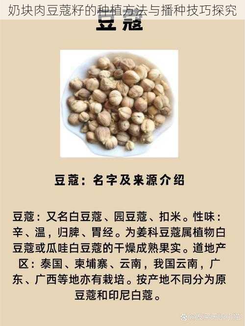 奶块肉豆蔻籽的种植方法与播种技巧探究