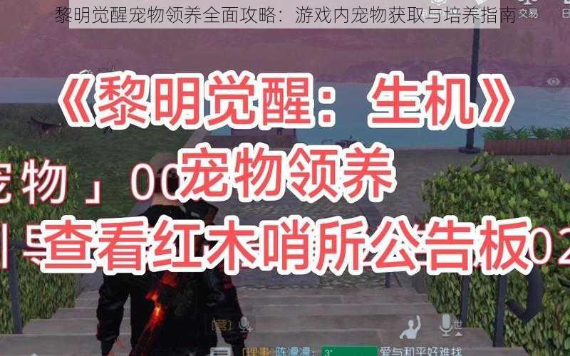 黎明觉醒宠物领养全面攻略：游戏内宠物获取与培养指南