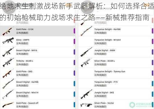 绝地求生刺激战场新手武器解析：如何选择合适的初始枪械助力战场求生之路——新械推荐指南