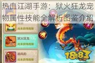 热血江湖手游：狱火狂龙宠物属性技能全解析图鉴介绍