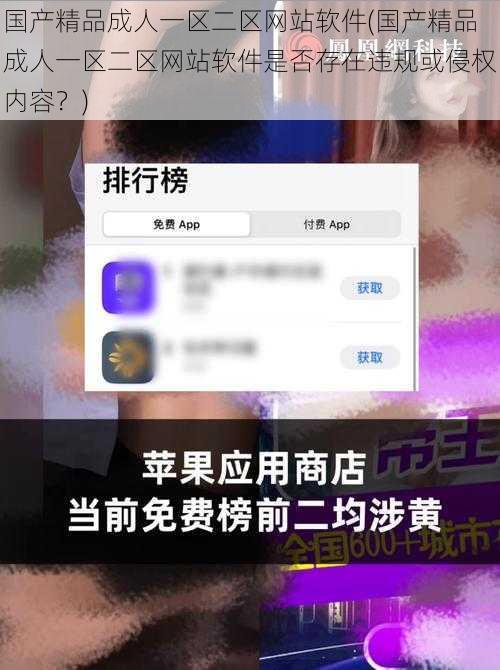 国产精品成人一区二区网站软件(国产精品成人一区二区网站软件是否存在违规或侵权内容？)