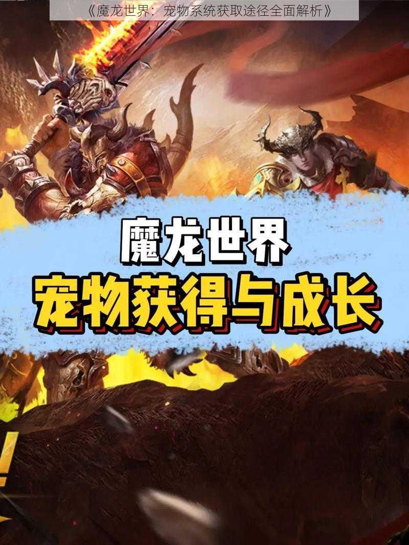 《魔龙世界：宠物系统获取途径全面解析》