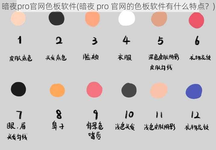 暗夜pro官网色板软件(暗夜 pro 官网的色板软件有什么特点？)