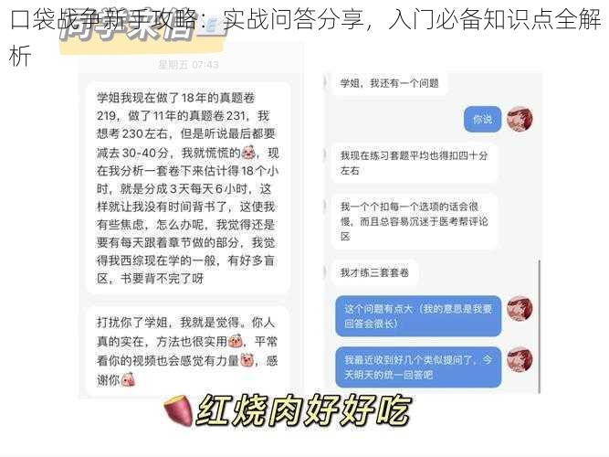 口袋战争新手攻略：实战问答分享，入门必备知识点全解析