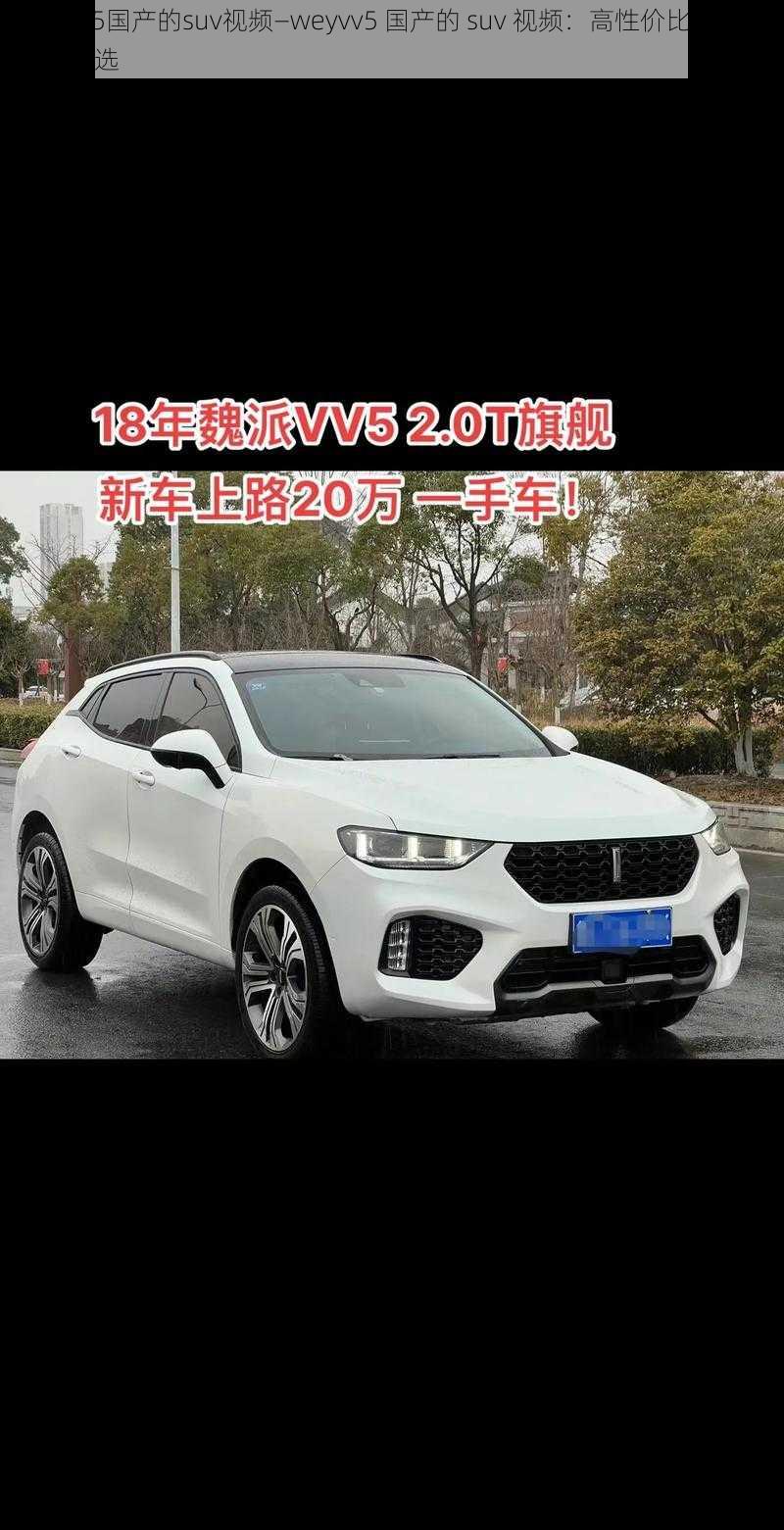 weyvv5国产的suv视频—weyvv5 国产的 suv 视频：高性价比的城市越野之选