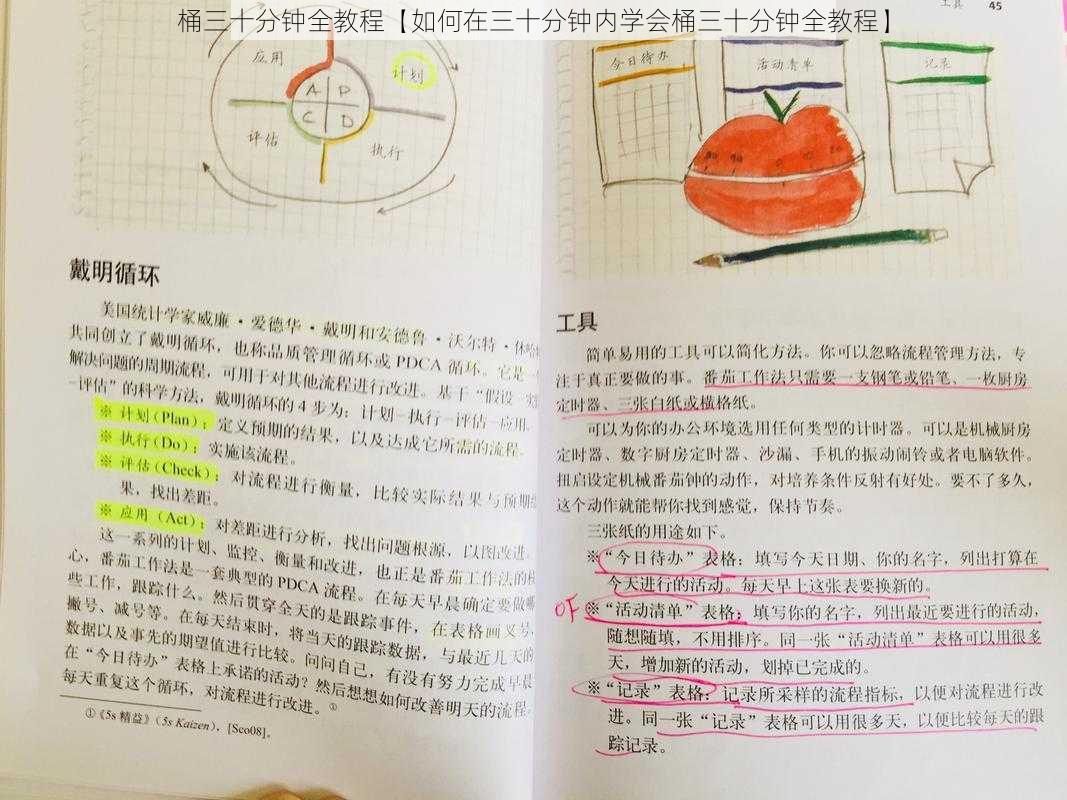 桶三十分钟全教程【如何在三十分钟内学会桶三十分钟全教程】