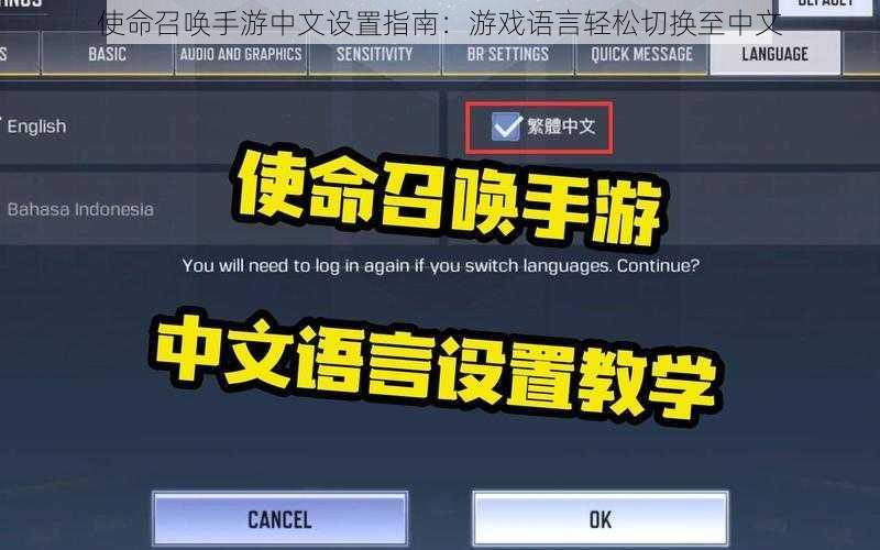 使命召唤手游中文设置指南：游戏语言轻松切换至中文