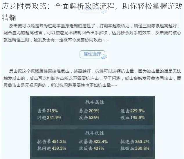 应龙附灵攻略：全面解析攻略流程，助你轻松掌握游戏精髓